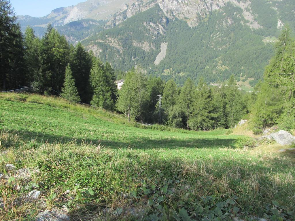 Cervino Valley House Rododendro Breuil-Cervinia Bilik gambar